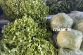 Де у Києві проходитимуть сезонні продуктові ярмарки 26-31 травня (адреси)