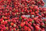 У Києві на вихідних 20-21 травня відбудуться продовольчі ярмарки (адреси)