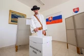 У Словаччині провалився референдум щодо довічних виплат Фіцо