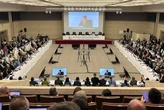 Україна домоглася створення нового природоохоронного району біля станції «Вернадський»