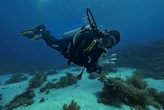 Дайвер зник у морі, а через два дні його знайшли на іншому континенті