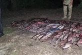 На Черкащині у заказнику посеред ночі затримали неповнолітніх браконьєрів