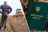 «Великі обороти – не показник». Експерт пояснив, чому нинішні критерії критичності для агросектору потребують перегляду