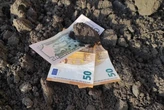 Господарство ДГ «Дніпро», викрите у розкраданні понад 500 га держземель, запустило процедуру банкрутства