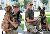 Чотирилапі детективи Чейз та Кокос викрили студента-наркозбувача (фото)