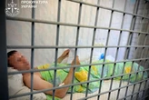 Після удару РФ по виставці зброї під Києвом затримано головного організатора