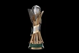 Кубок України з футболу: став відомий розклад матчів 1/32 фіналу