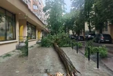Негода наробила лиха в Києві: фото, відео