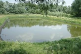 Чому за ставок можна потрапити під суд? На Черкащині справа викликала суперечки