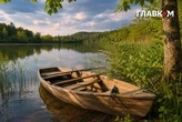 Сонячна п'ятниця: в Україні до 34° тепла: погода на 17 липня 2026 року