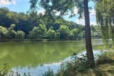 Обробка столичних парків від кліщів: де не варто гуляти 10 вересня