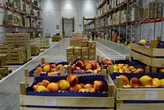 Росія заборонила ввезення фруктів та овочів з Вірменії