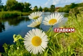 В Україні очікується дуже високий стрибок температури повітря – Діденко
