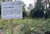 У одному зі столичних парків висадили сад Міявакі: чим цікавий цей метод озеленення