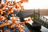 Осінній відпочинок у Європі: експертка порадила чотири бюджетні варіанти