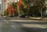 Рух бульваром Лесі Українки обмежено протягом двох днів (схема)