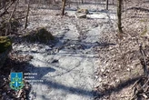 Водій бетонозмішувача постане перед судом за злив відходів у Національному парку
