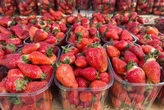 Продовольчі ярмарки у Києві 3-8 травня: де можна придбати фермерські продукти