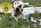 У Рязанській області розбився легкомоторний літак: пілот загинув (фото)