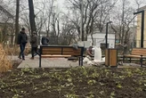 «Київзеленбуд» намагався «компенсувати» мільйонні збитки висаджуванням барвінку у січні