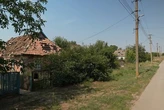 У одному із сіл Запорізької області жінку покусав шакал
