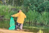Яка риба водиться у Чорнобильській зоні: науковці виявили цікавий факт