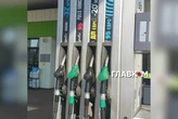 Газ і дизель дешевшають: ціни на АЗС 19 червня 2026