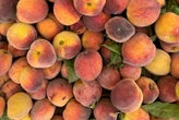 У Києві з 22 по 27 липня відбудуться продуктові ярмарки: перелік адрес