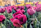Наталка Діденко прогнозує різке потепління вже з 1 червня