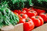 У Києві з 15 по 20 липня відбудуться продуктові ярмарки: перелік адрес