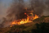 У Греції вирують лісові пожежі: влада оголосила евакуацію