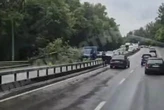 Падіння дерева на Олени Теліги: рух до Куренівки заблоковано, сталася ДТП