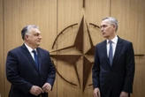 НАТО зупинило обмін розвідданими з Угорщиною – ЗМІ