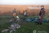 Рибалка, який наловив 40 сазанів та карасів, отримав суворе покарання