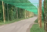 Інженерні війська встановлять тисячі кілометрів антидронових коридорів – Командування Сил підтримки ЗСУ