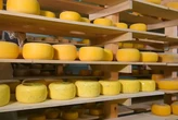 Імпортний сир заповнив магазини. Українські виробники б’ють на сполох