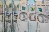 Уряд виділив понад 190 млн грн на стипендії для науковців