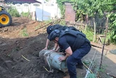 У Запоріжжі 500-кілограмова авіабомба впала біля житлового будинку