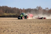 Аграрії засіяли 3,2 млн га зернових та зернобобових культур: які регіони є лідерами