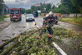 Буковину накрила негода: розмиті дороги, повалені дерева та затоплені підвали