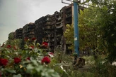 Символ незламності чи зради? Фото троянд у Покровську обурило українців