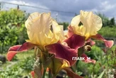 Дощі, грози та +7 вночі: в Україну йде похолодання. Чого чекати киянам?