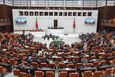 Туреччина ухвалила перший в історії країни закон щодо клімату