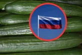 Росія завалила ринок Польщі огірками: реакція фермерів