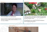 «Застрелили собаку, труїли колодязь»: абсурдні фейки російської пропаганди на Донбасі