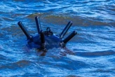 Російська морська міна наблизилася до берегів Румунії