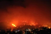 Декілька районів Туреччини охопили масштабні лісові пожежі (фото, відео)