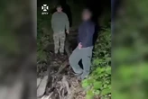 У Карпатах киянин намагався втекти до Румунії, але зустрів розлючену ведмедицю