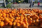 У Києві 2-7 червня відбудуться продовольчі ярмарки (адреси)