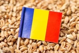 Заміна України? Одна країна ЄС завалить Європу пшеницею цього сезону